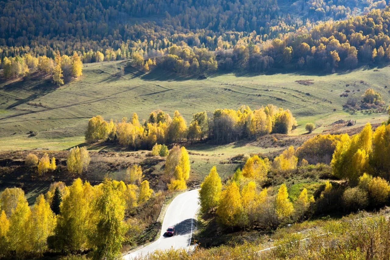 新疆,嘉宾与友朋共聚一堂