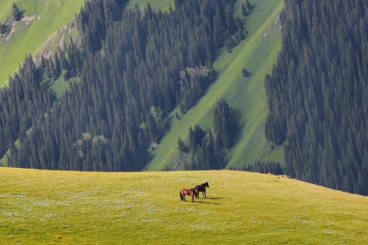 新疆,嘉宾与友朋共聚一堂