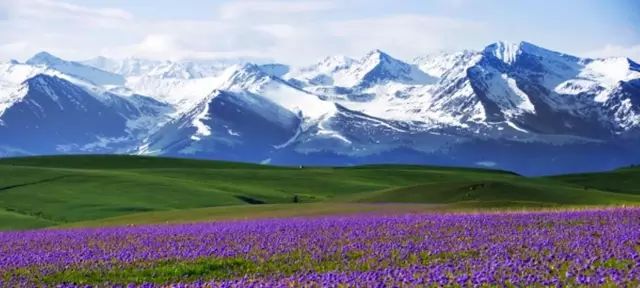 新疆智造领航，开启未来科技生活新篇章